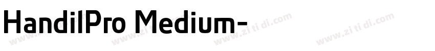 HandilPro Medium字体转换